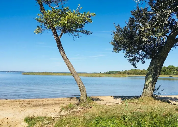 Maisonnette A 300 M Du Lac De Biscarrosse