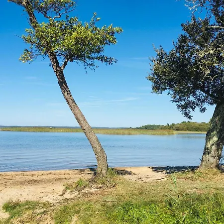 Maisonnette A 300 M Du Lac De Biscarrosse Exterior photo
